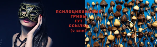 кокс Арсеньев