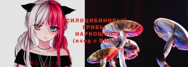 метадон Аркадак