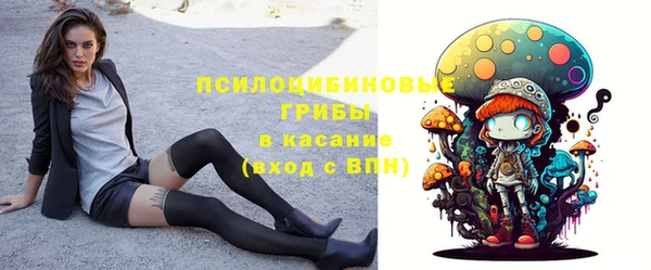 кокс Арсеньев