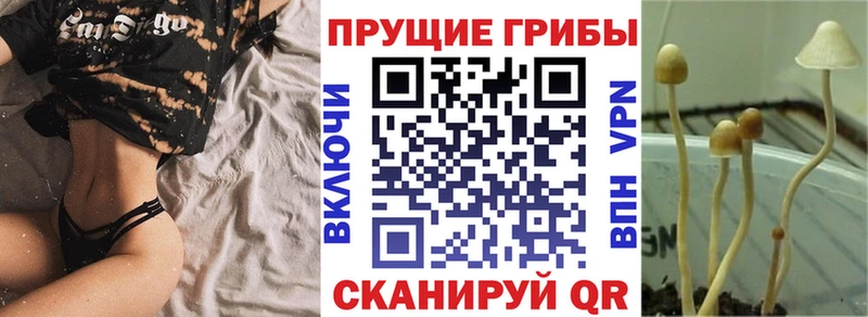 Псилоцибиновые грибы мицелий  Асбест 