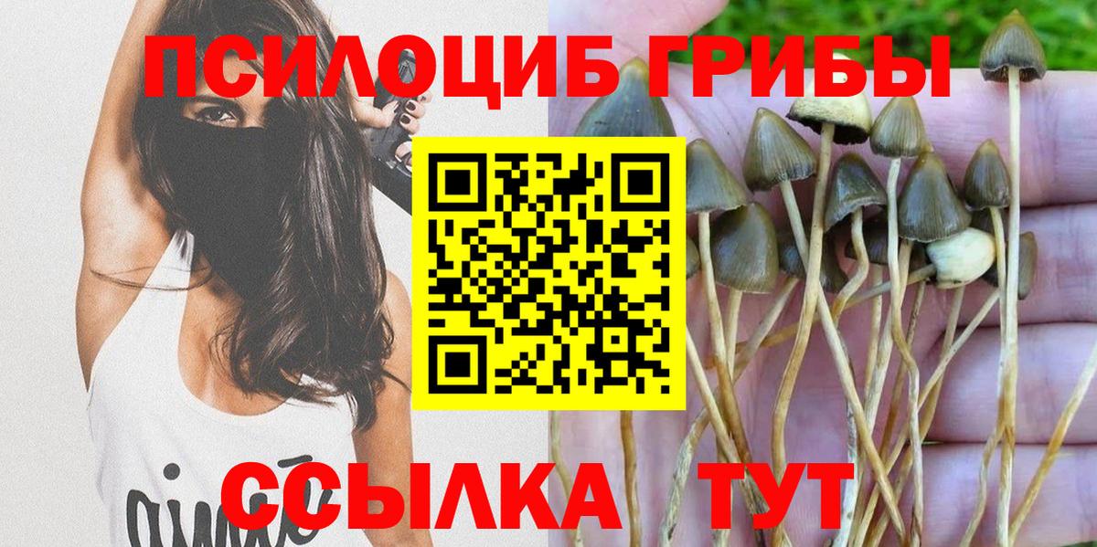 Галлюциногенные грибы Magic Shrooms Асбест