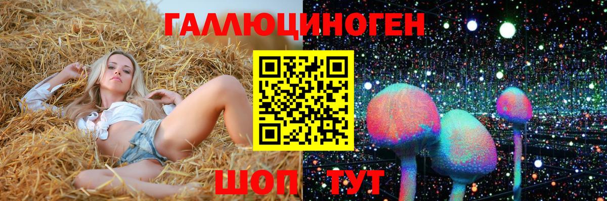 Асбест  купить закладку  Псилоцибиновые грибы Psilocybine cubensis  Вход с VPN  Псилоцибиновые грибы мицелий 